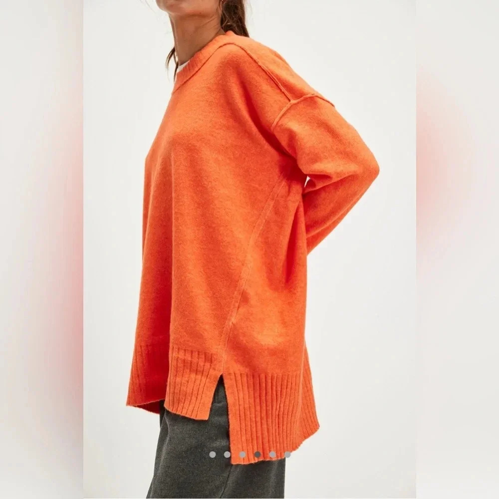 NWT Free People Phoebe Pullover